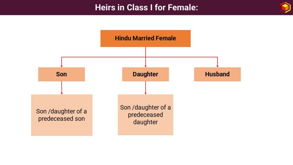 Heirs in Class I for Female