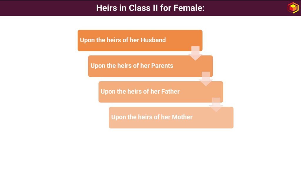 Heirs in Class II for Female